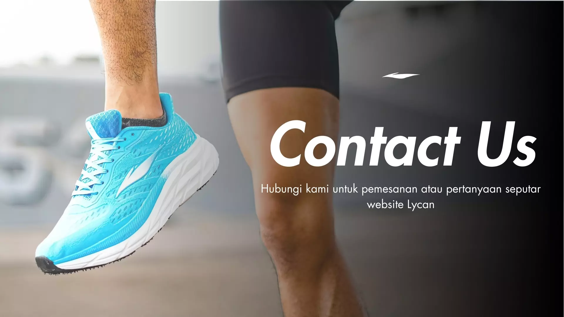 kontak sepatu lycan sports